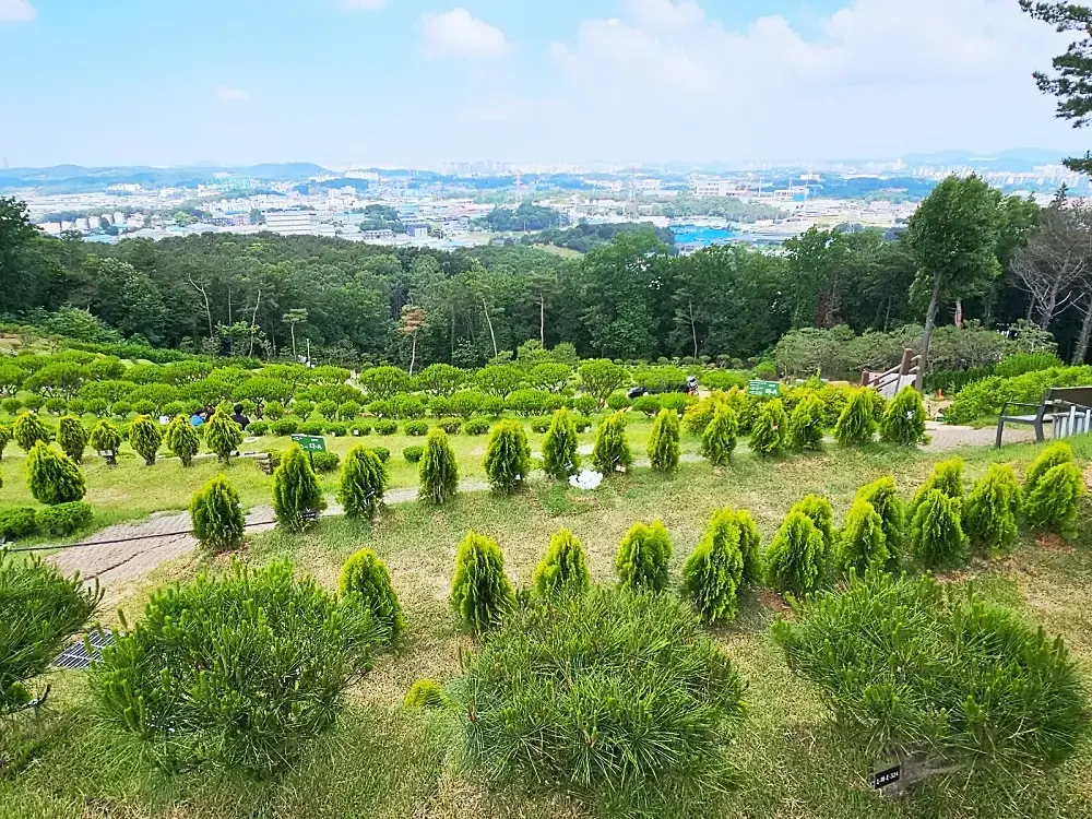 공감수목장 전경