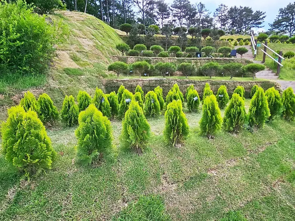 공감수목장 시설 사진 2