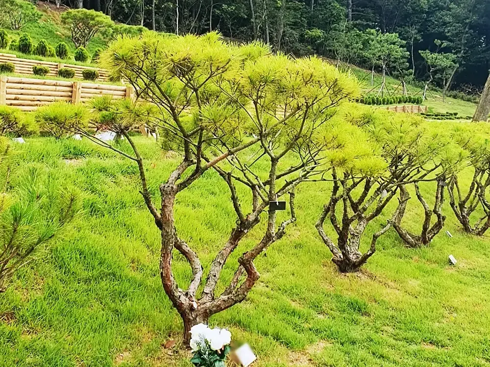 공감수목장 시설 사진 3