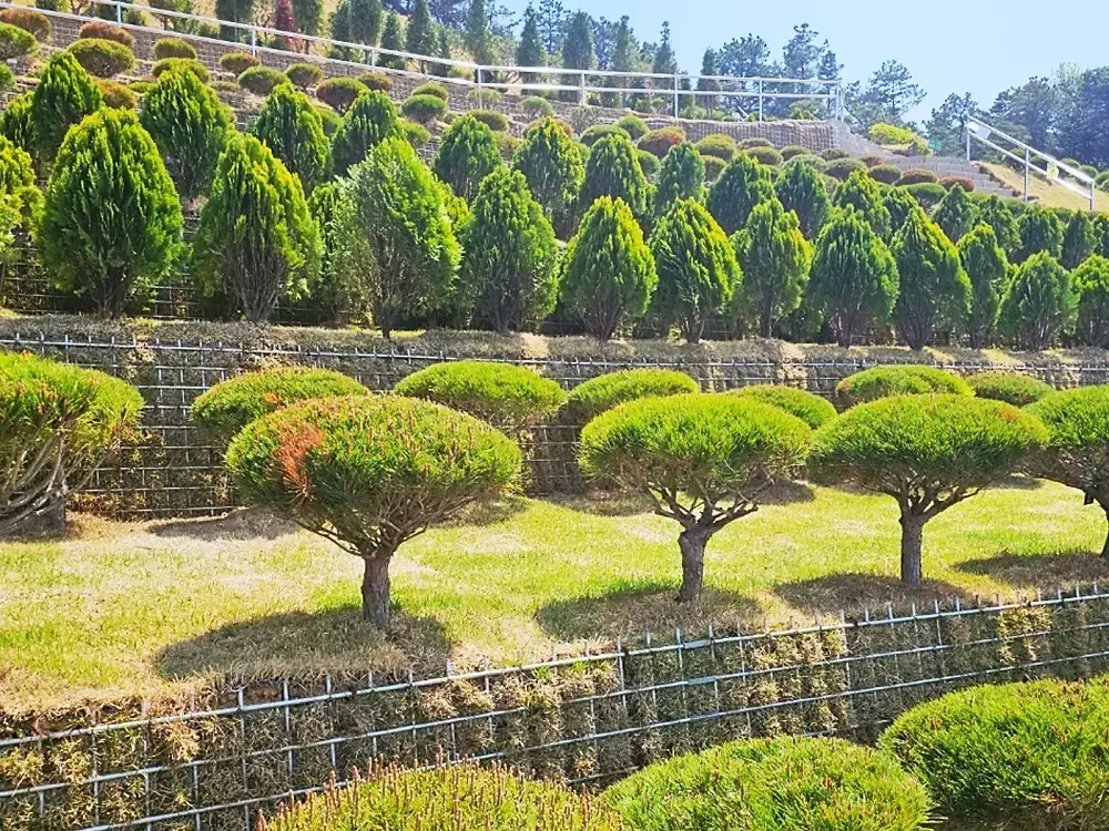 공감수목장 시설 사진 5