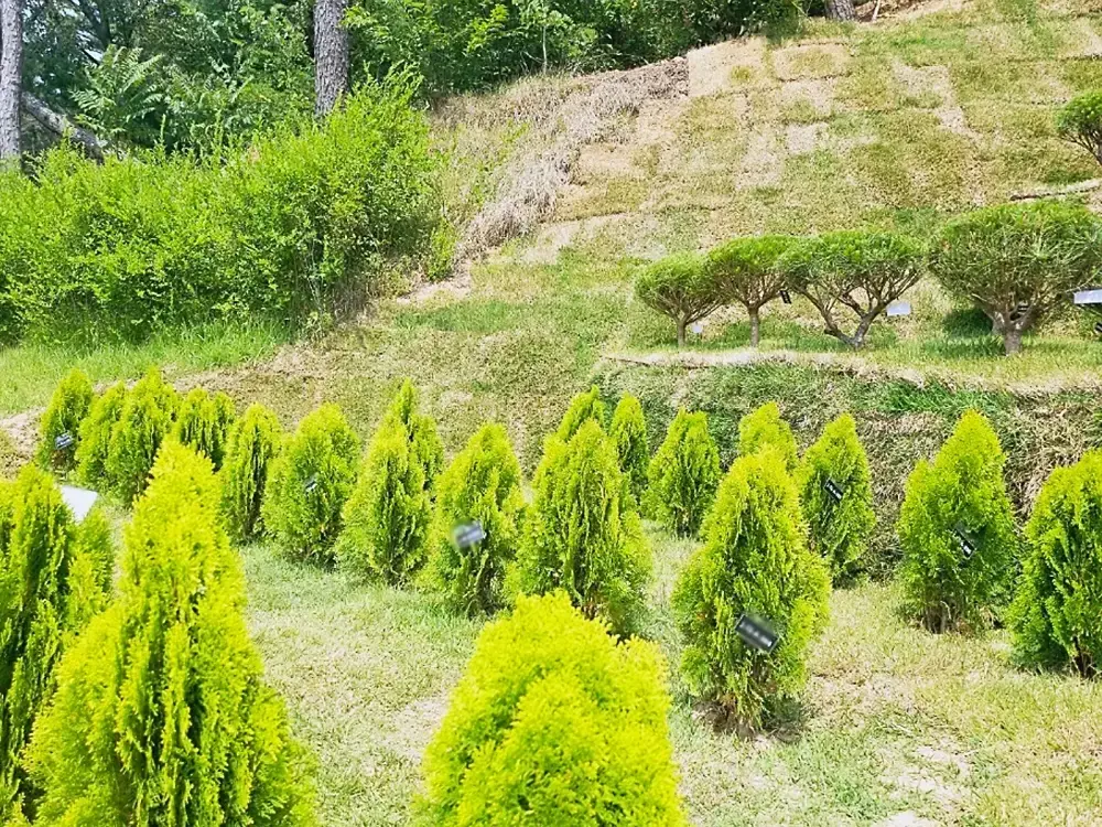 공감수목장 시설 사진 8