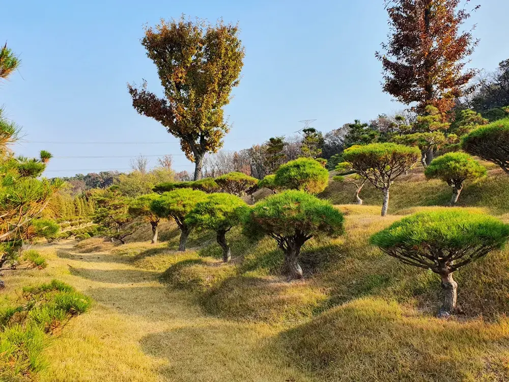 일산수목장 대표 전경